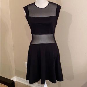 Mesh Skater Dress